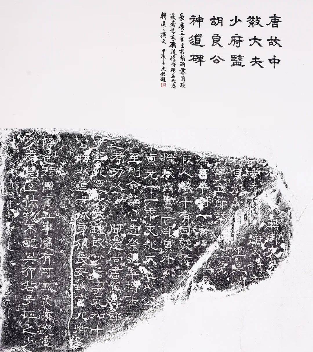 金石契|"汉唐华章——长安金石拓本题跋展"在镇江焦山书画院开幕