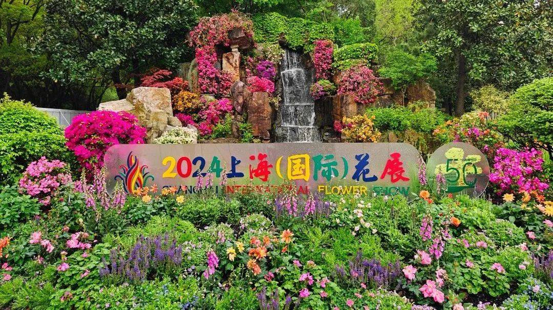 志愿者招募 | "花园"邀你来"看花"!上海植物园志愿者招募