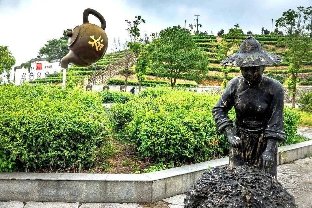 苍南新晋一宝藏线路,约起!