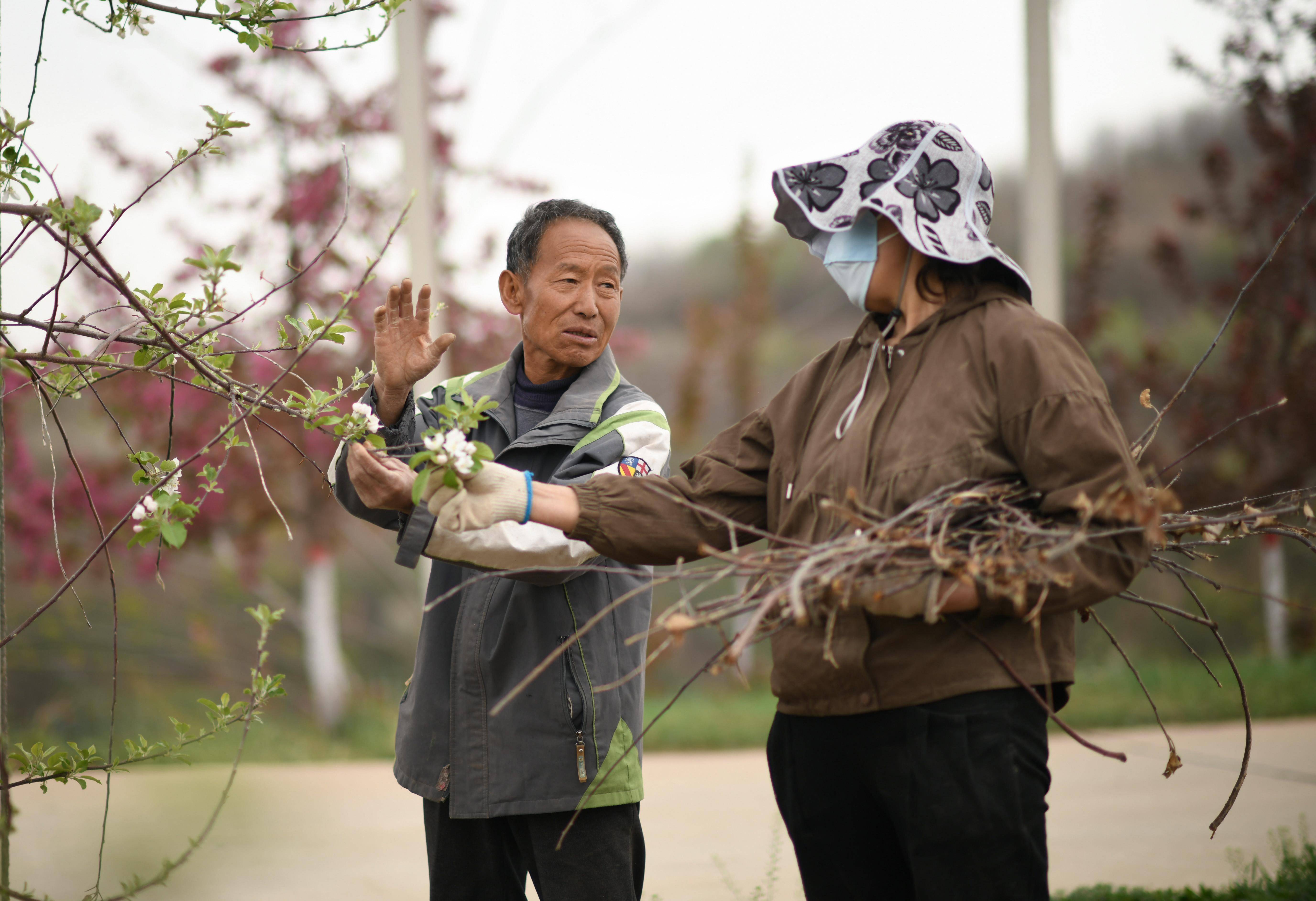 南沟村的春天,春色满园,希望弥漫.