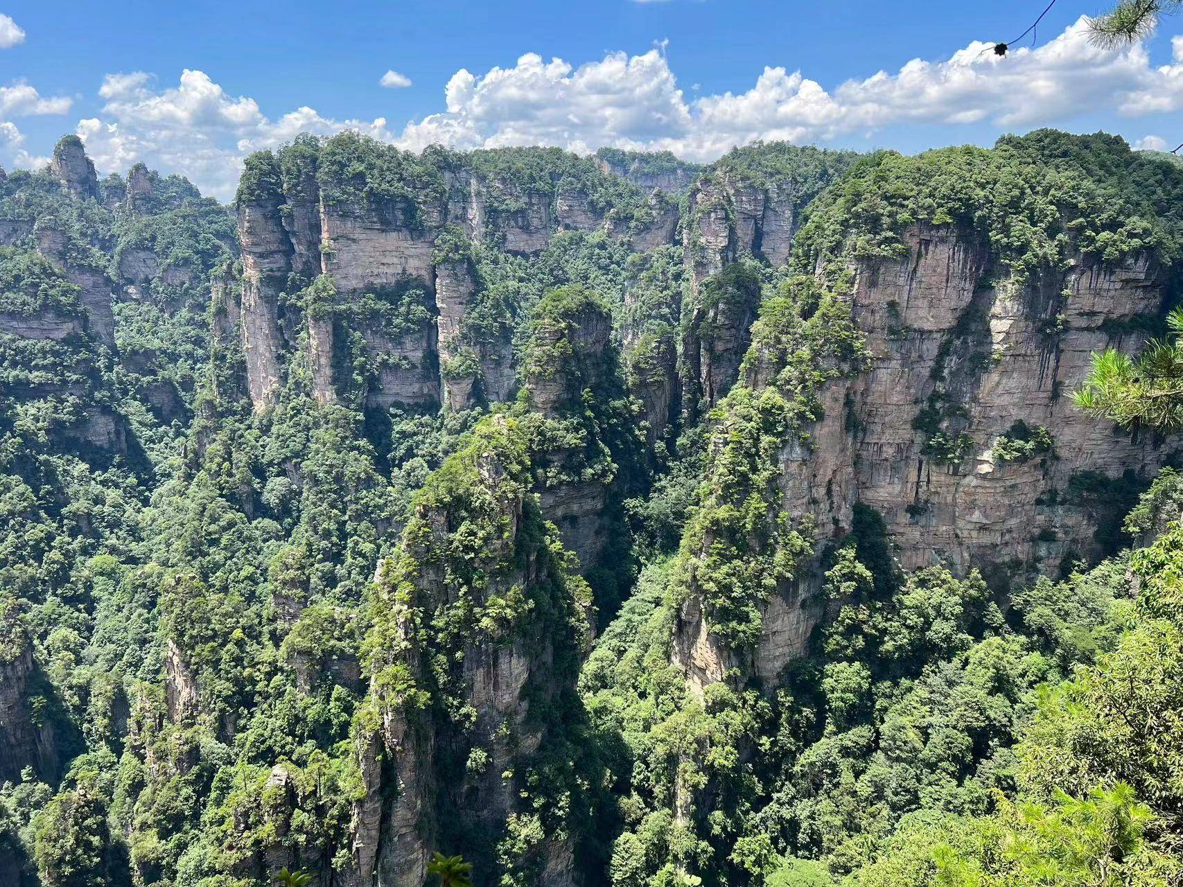 张家界4天3晚旅游费用要多少钱 ,听听我的真实感受!