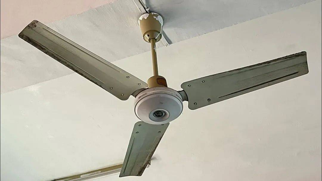 这个澳洲家庭里最脏的地方,很多人都不懂要怎么洗!