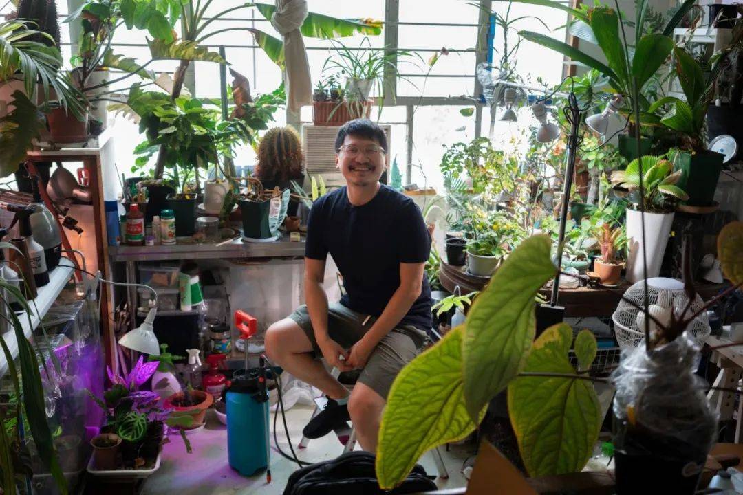 杨沛铿:植物,水族系统,情感隐喻与安全空间