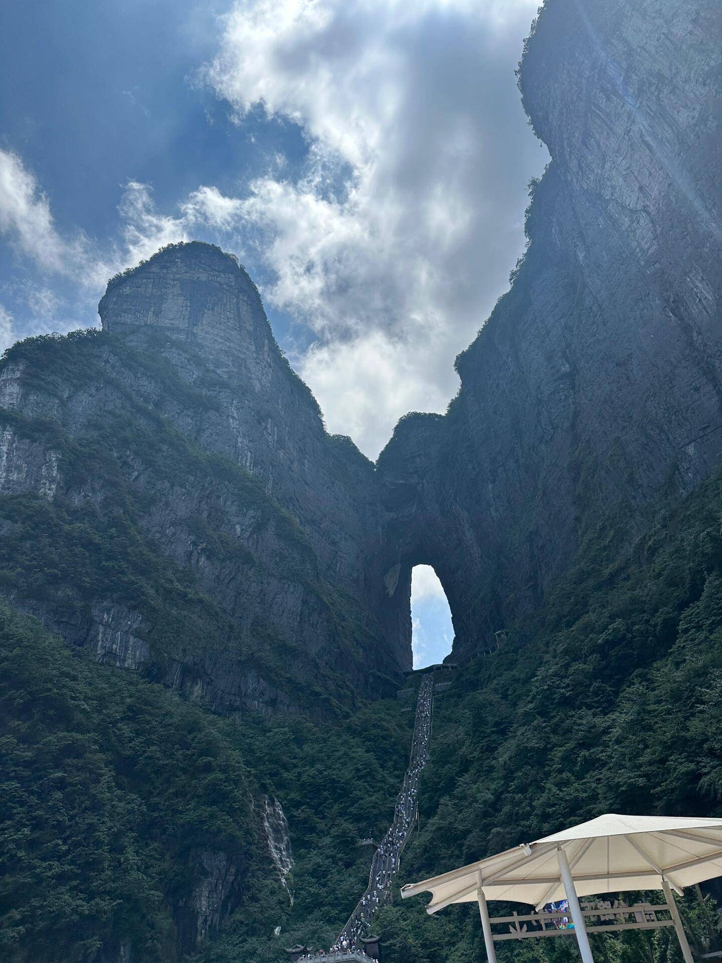 长沙张家界旅游4天 ,去了踩了不少雷,这篇避雷攻略一定要看