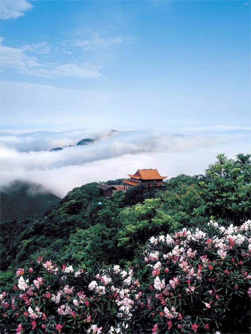 一家人享受假期的景点就在长沙周边!