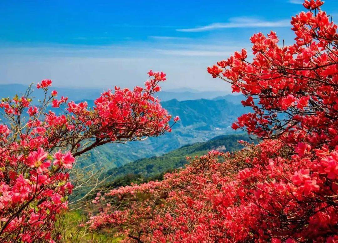 磐安男青年们,福利来袭! 青年人才趣味活动开始啦,快来报名加入吧!