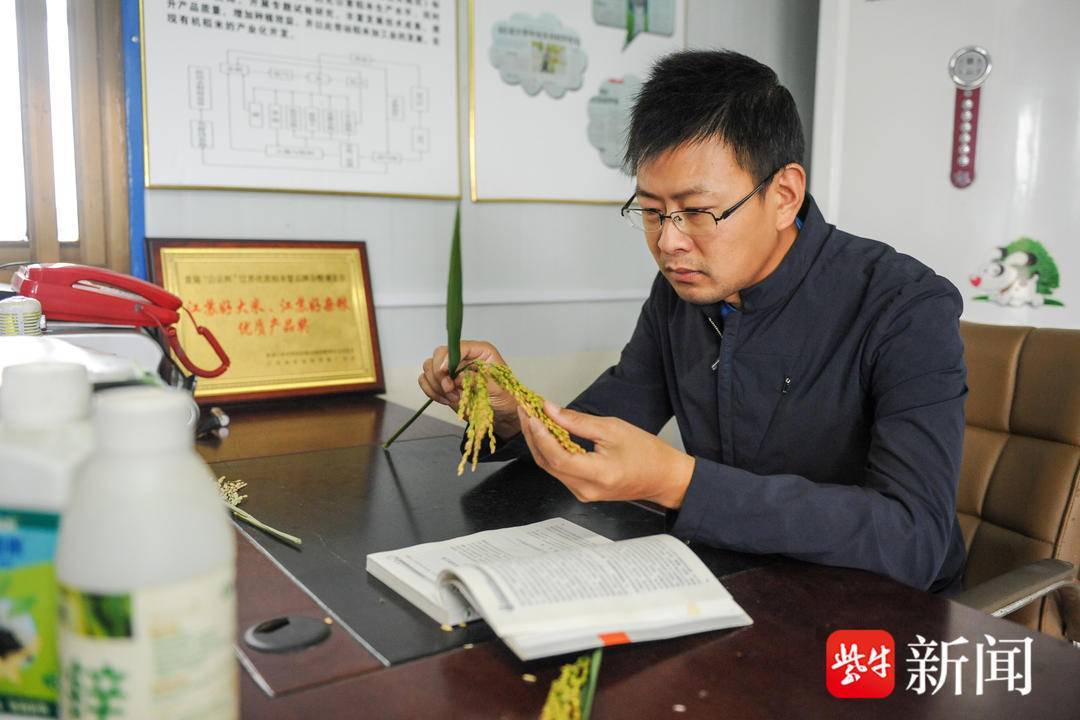 孙飞:创优产品销路畅,农民真正富起来