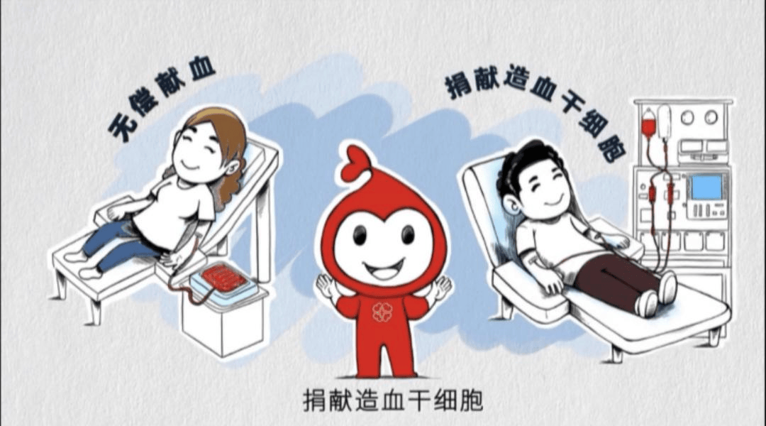 【关注】船营区红十字会开展无偿献血及造血干细胞捐献活动