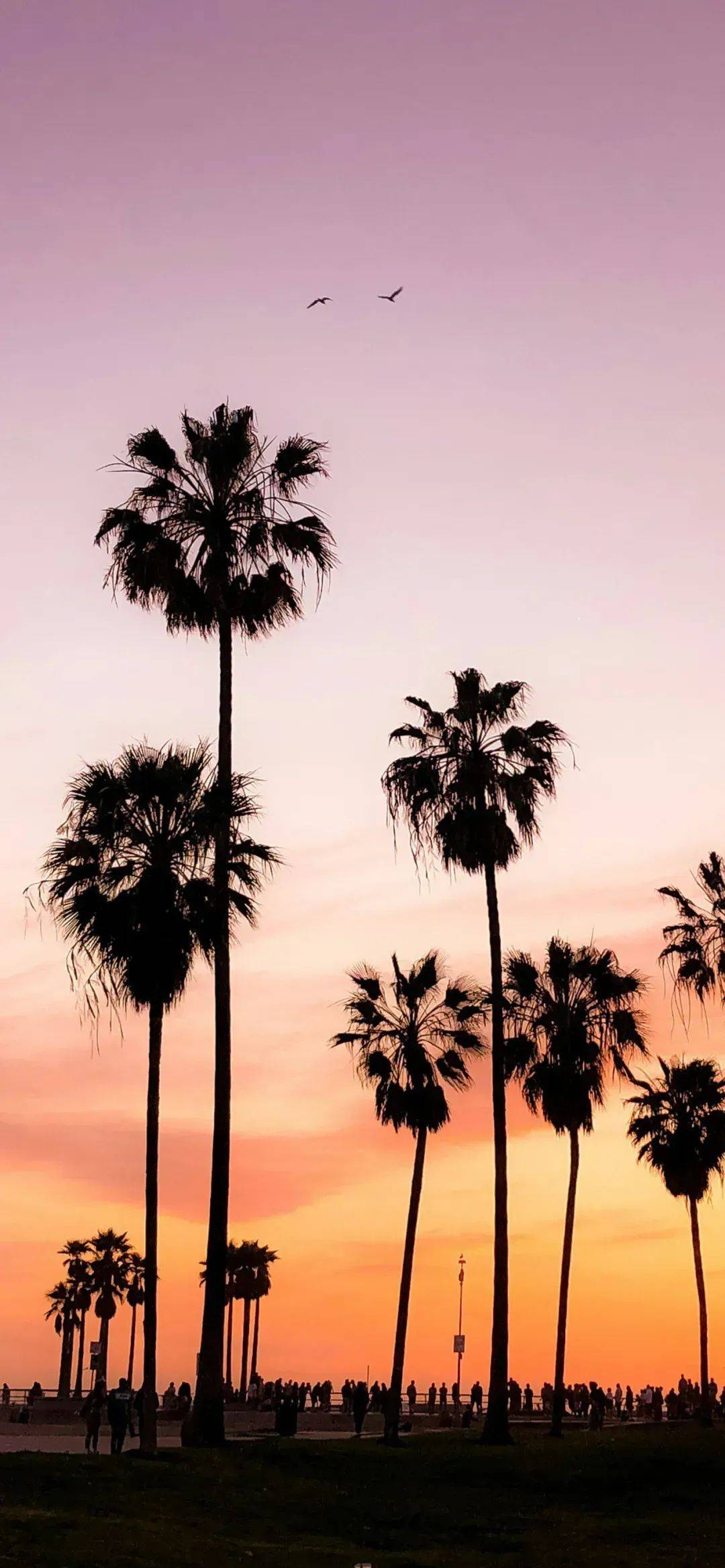 壁纸 | 元气满满的高清壁纸