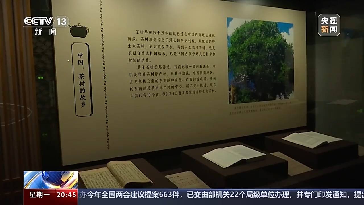广州人的阅读量是全国人民的2倍？毕竟有人拖着行李箱去图书馆……