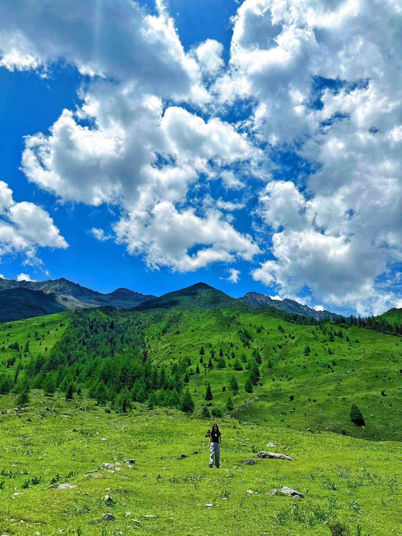 石嘴山到四川旅游团 ,超全旅游攻略,带你轻松畅玩!