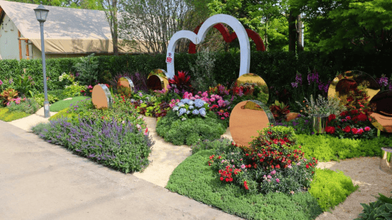 6万m05沉浸式体验式家庭园艺展开幕!就在闵行这个"绿野仙踪"