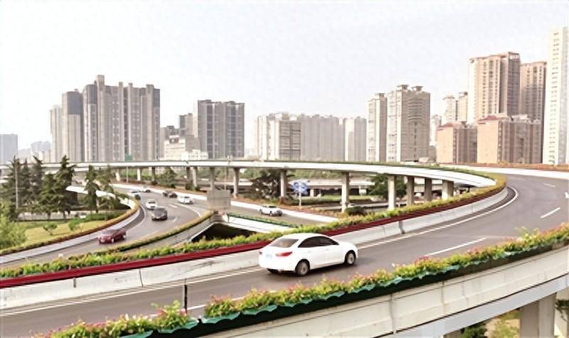 粉,红,黄色月季绽放郑州高架桥 "空中花廊"伴你一路好风景_系列_红色_