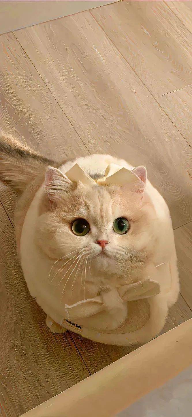 壁纸 | 元气满满的高清壁纸