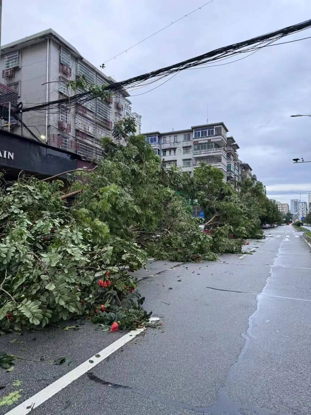 天气_暴雨_狂风
