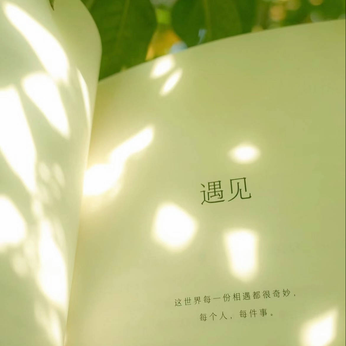 硬的慢、没反应、很快就软了...ED到底该怎么办？_问题_图片_上述情况