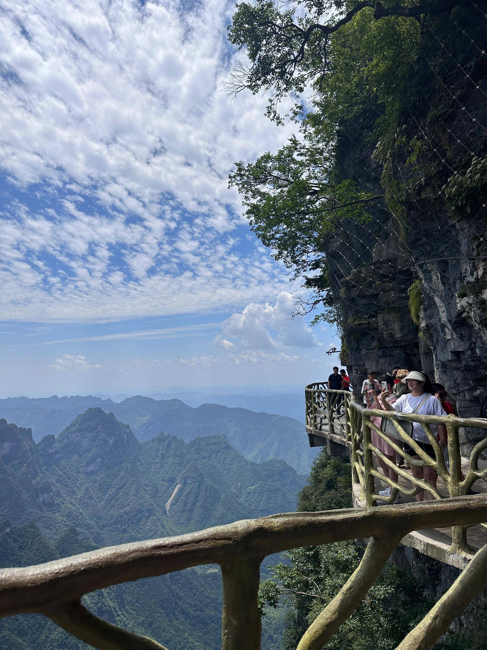 张家界大峡谷旅游 ,哭死,后悔没早点看见这篇