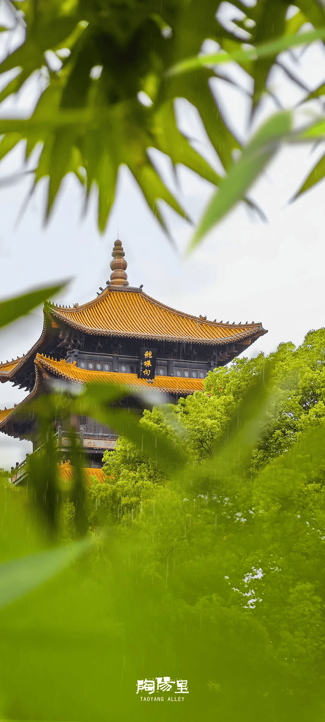 延长开放!江西多个景区场馆重要提醒_旅游区_时间_喷泉