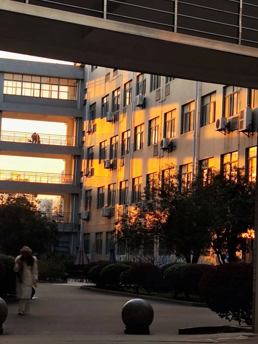 等待着你去用心感受每一处都有着独特的风景在湖工大景色定格在黄昏的