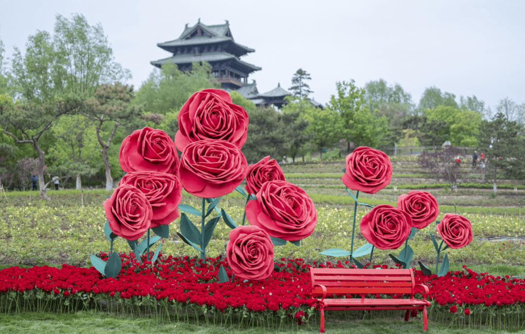 第五届北京国际花园节开幕！世园精彩抢“鲜”看——