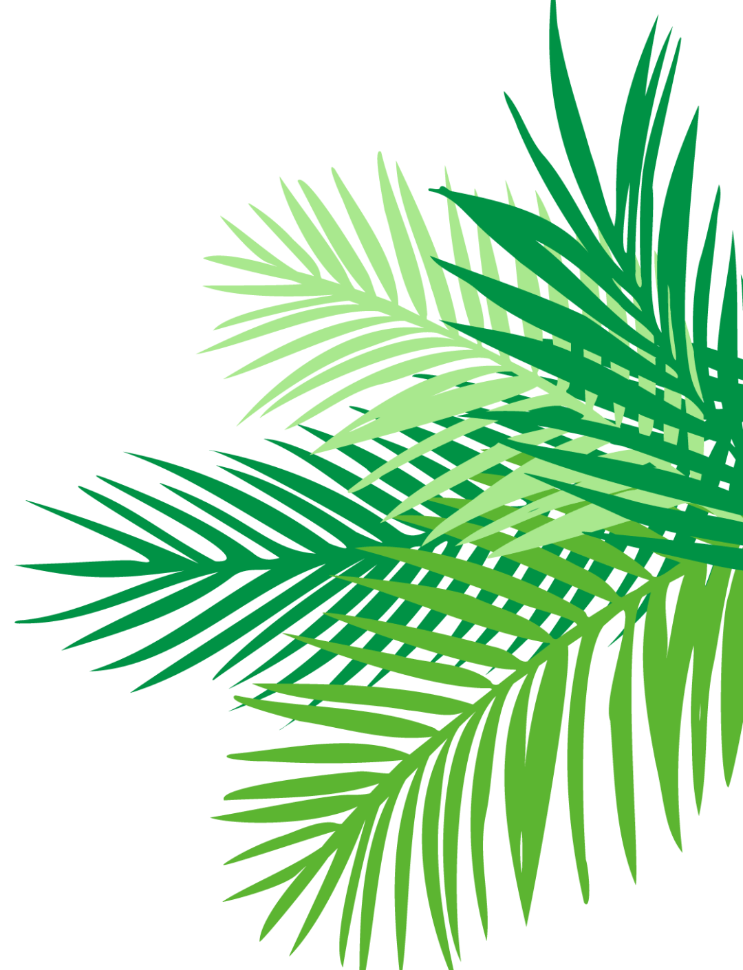 用银联卡打开曼谷逛吃攻略_latex