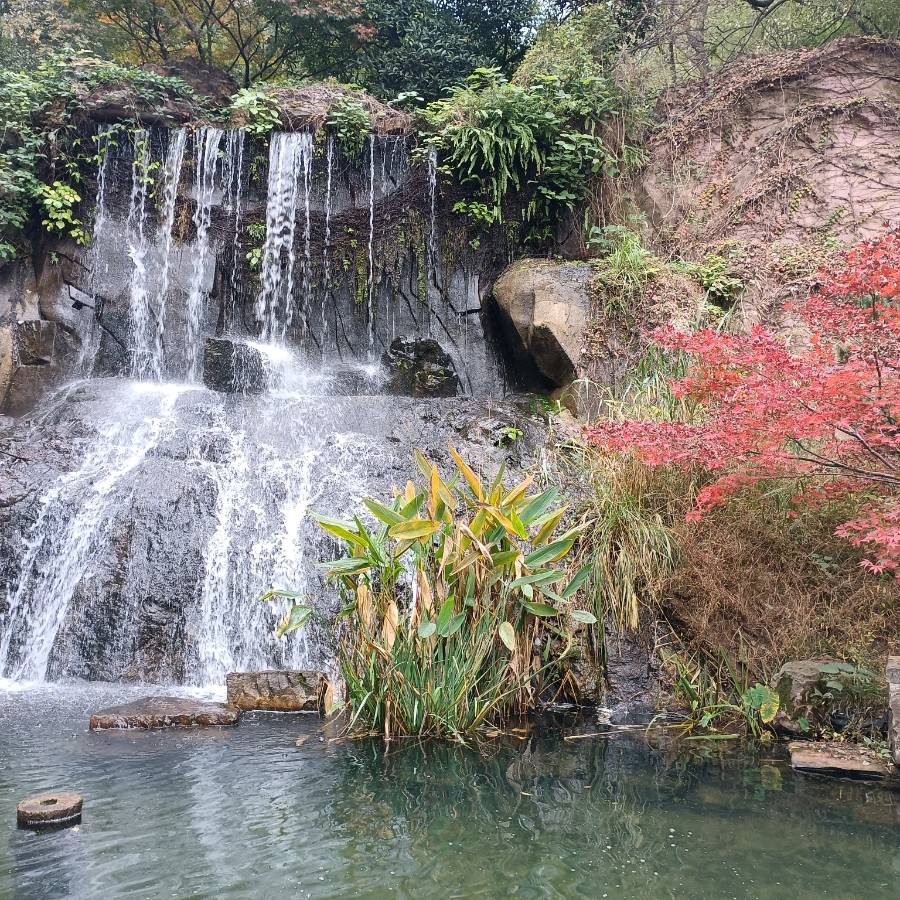 四川4天自由行最佳路线,四川4日游自由行攻略_成都_旅游_九寨沟