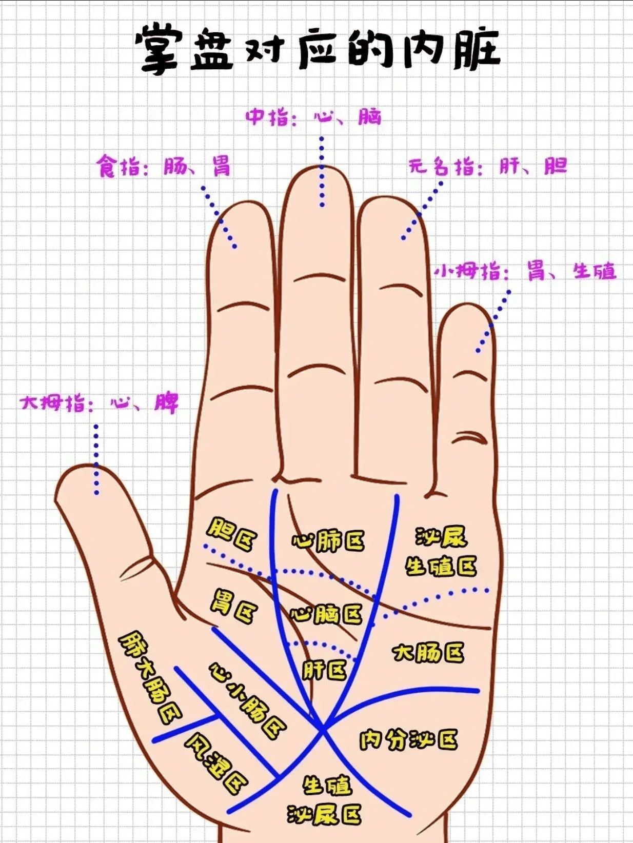 掌盘按摩穴位