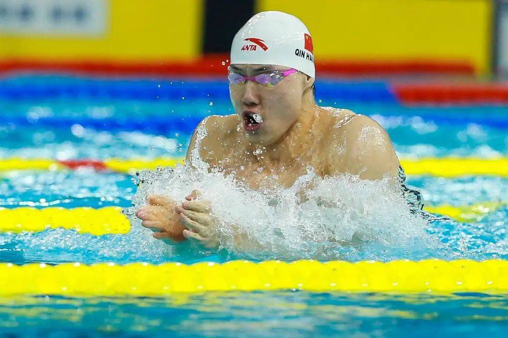 聚焦 | 从全国游泳冠军赛眺望巴黎奥运争金前景,中国游泳状态正佳或创