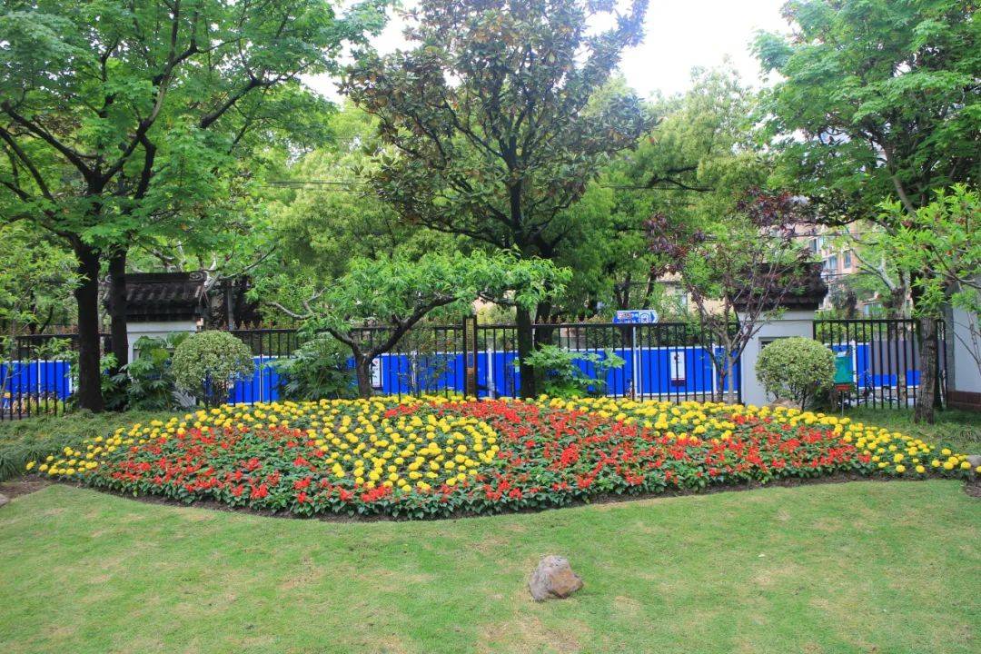 "五一"国际劳动节,普陀区各公园花坛盛装迎客!