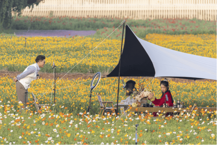 骆马湖啤酒,上市啦!_宿迁_旅游_运城