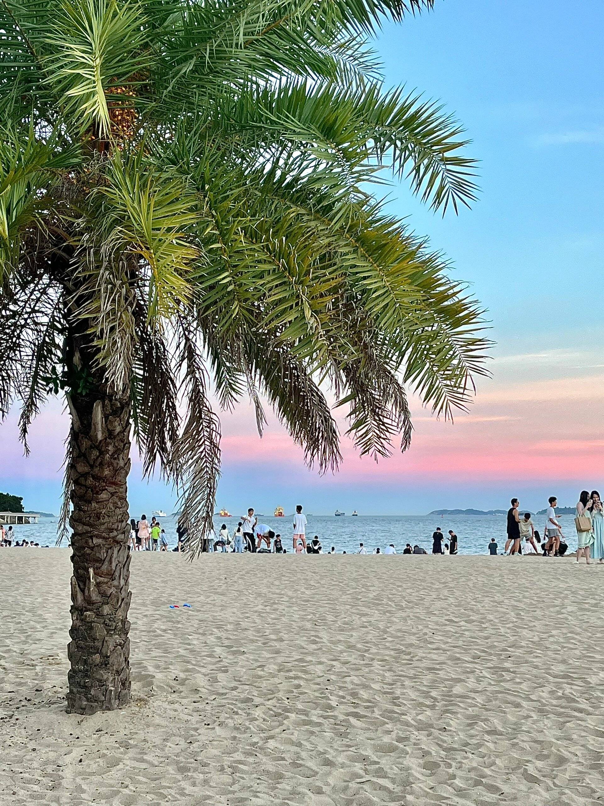 厦门出境旅游被劝返了怎么处理 ,交通,住宿,景点,购物