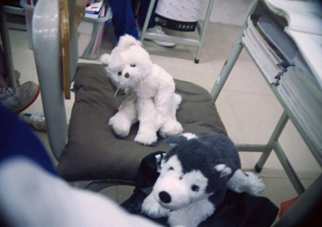 从底片里捡回来了16岁