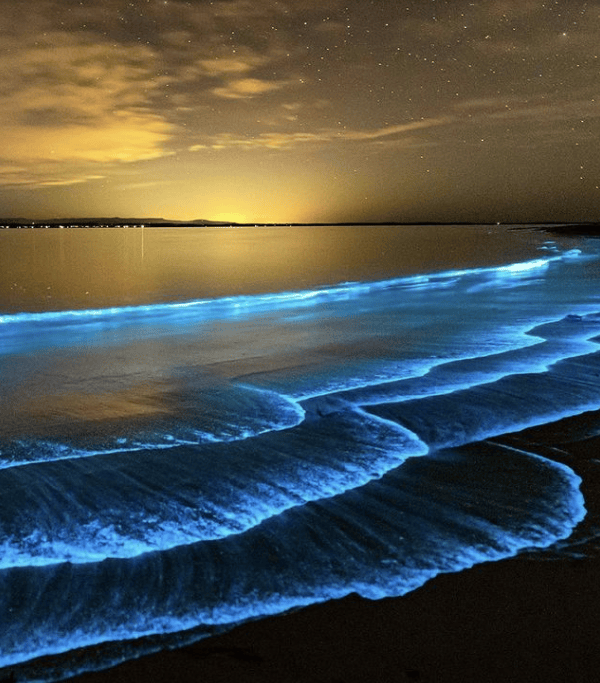 la周边大概率出现荧光海的海域:manhattan beachel