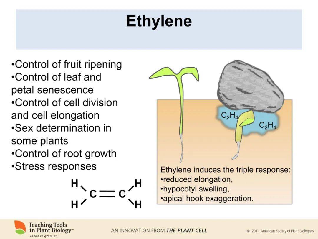 下载地址:http://www.plantcell.org/content/22/3/tpc.110.