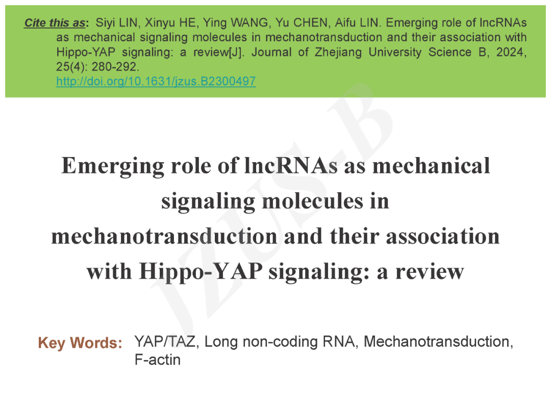 浙江大学林思怡、林爱福等：LncRNAs在机械转导中的作用及其与Hippo-YAP信号转导的关联_Xinyu_lncRNA_http