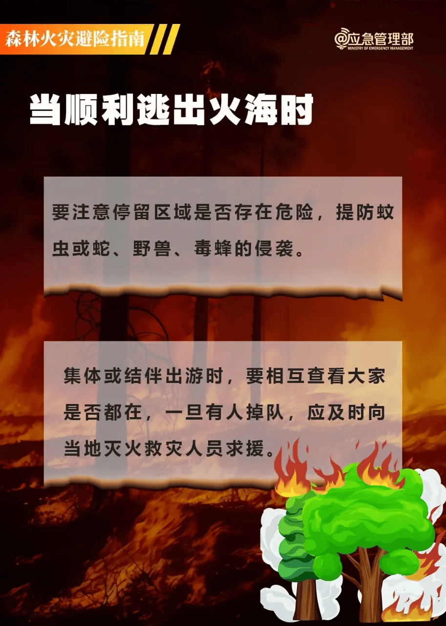 【森林防火】森林草原防灭火知识点