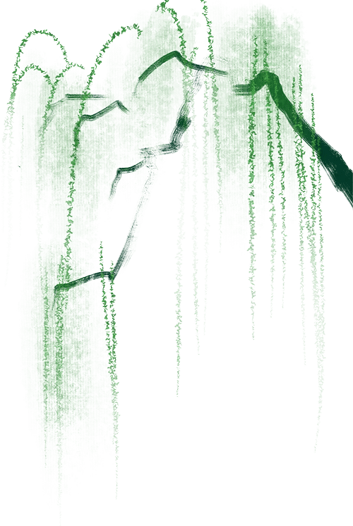 ph240r通过抑制i型干扰素信号通路,抑制了ifn-α诱导的isre的激活和