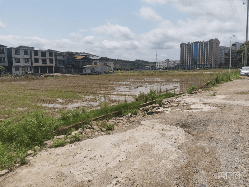 湖南江华:从严监督守牢耕地红线_保护_问题_农田