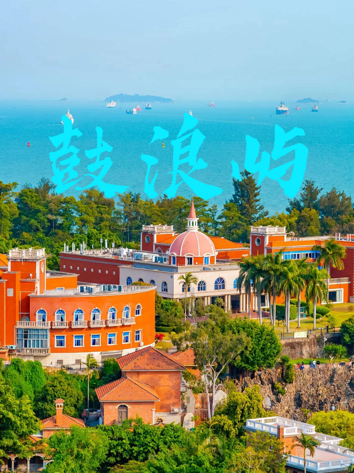 厦门一日游攻略自由行最佳线路 ,这篇旅游攻略,有一些大实话我想说.