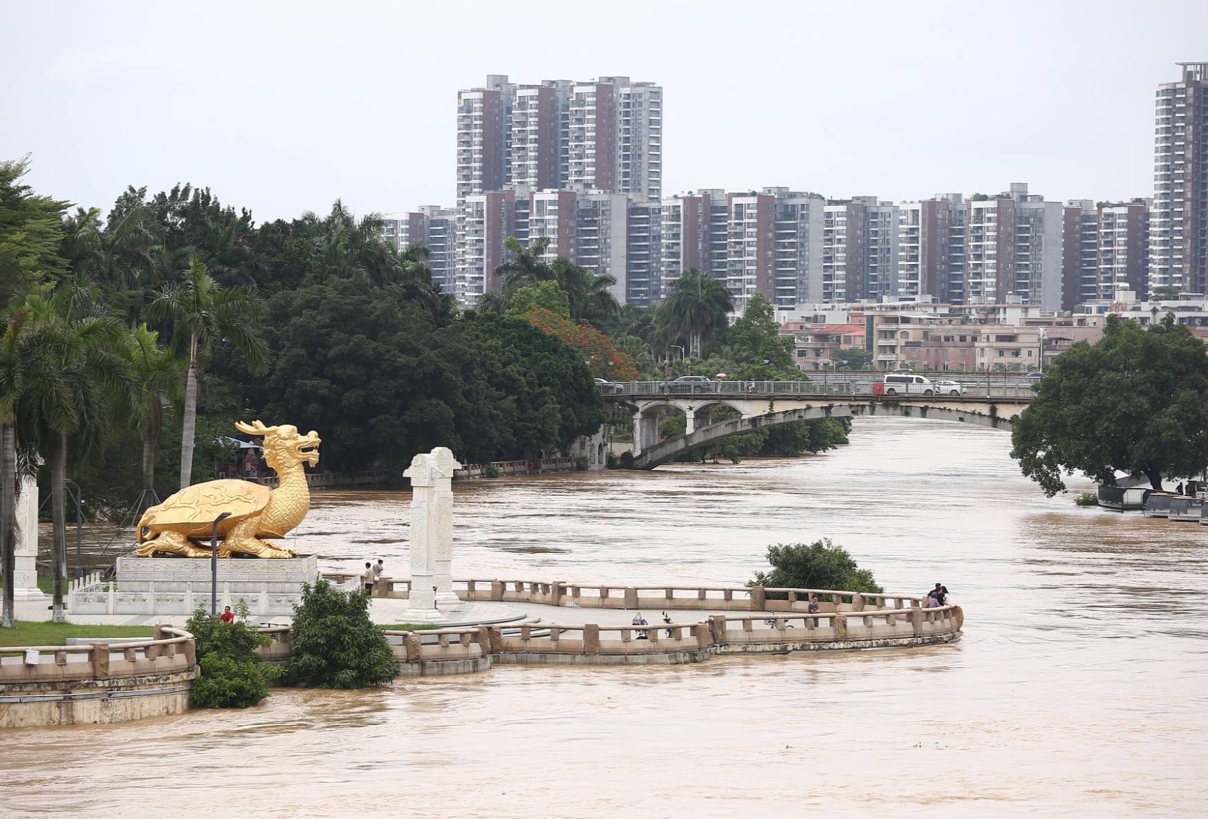 东江发生2024年第1号洪水为划定自然灾害风险重点防控区域提供依据自