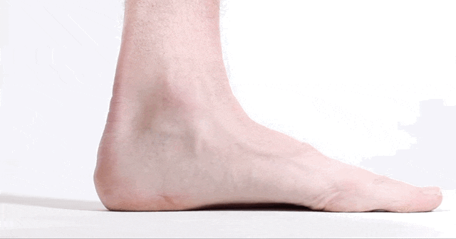 陆毅女儿被质疑营养不良?腿细到离谱?网友:这是真人的腿?