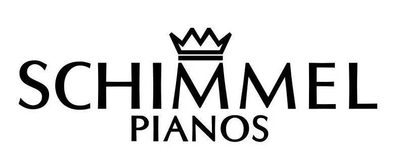 加国9岁亚裔女孩学钢琴2年获2次国际大奖!举办神童音乐会!