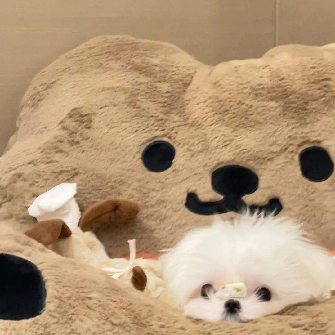 头像 | 一看就想换的微信头像