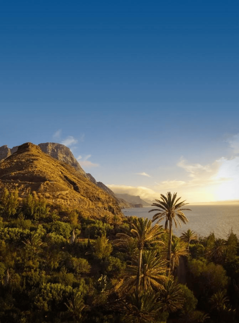 图源:大加那利岛旅游局除了丰富的自然资源,大加那利岛还见证了哥伦布