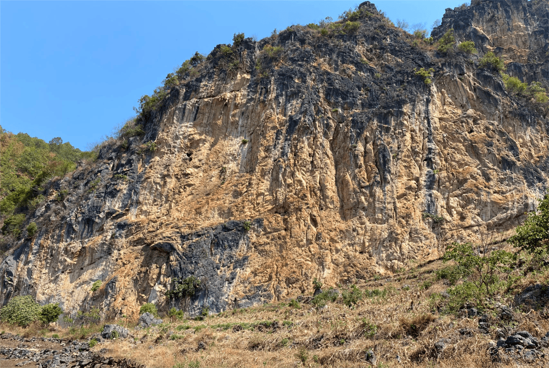 永德县崇岗乡黑龙村村委会西北方向约2公里的蒿子坝自然村大平掌岩根