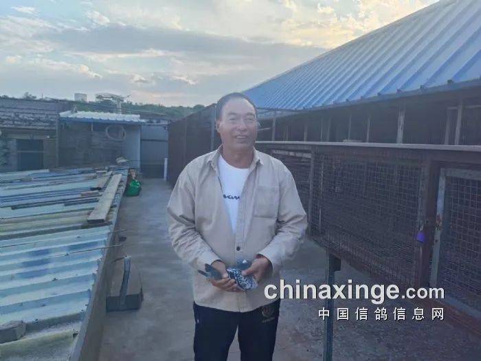 「鸽讯」北京丰台700公里长距离前十名风采_比赛_勾晨亮_刘昆英