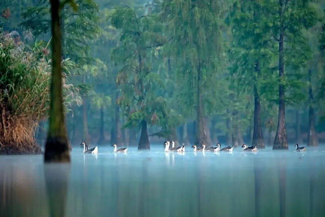 去寻找滁州现实版"桃跋勺"!