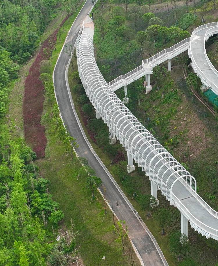 图片新闻 | 礼嘉山城步道基本建成 快来健步骑行吧