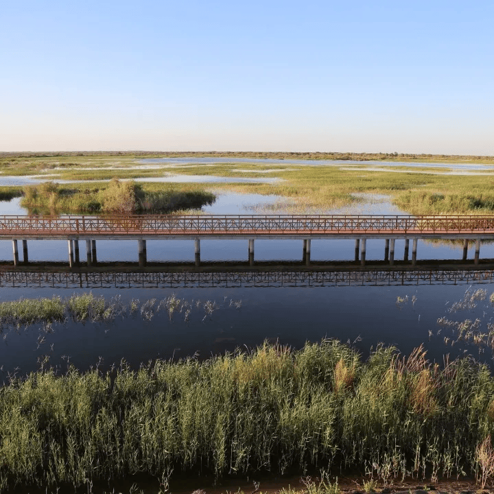 在团中央的统一部署,第一师阿拉尔市党委和兵团团委的高度重视和关心
