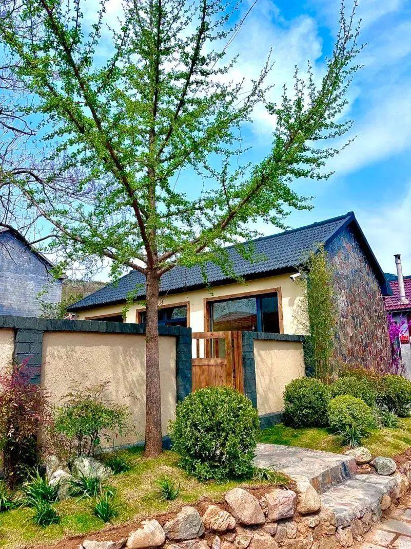 【活动预告】"北山芳菲 樱你而来"五莲县叩官镇董家